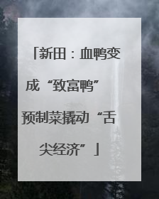 新田：血鸭变成“致富鸭” 预制菜撬动“舌尖经济”